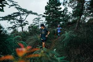 BIB: 
                            <button type="button" onclick="openModal(25260722)" class="btn btn-primary btn-sm float-right btn-popup" data-toggle="modal" data-target=".modal-high-quality">
                        <i class="fas fa-shopping-cart"></i> Add to Cart
                    </button>
                                            <button type="button" onclick="isThisMe(25260722, true)" class="btn btn-success btn-sm float-right btn-popup btn-isme hidden" data-toggle="tooltip" data-placement="bottom" title="นี่คือรูปของคุณใช่ไหม คลิกที่นี่เพื่อเอาเข้าอัลบั้ม">
                        <i class="fas fa-plus"></i> Add to album
                    </button>
                    <button type="button" onclick="isThisMe(25260722, false)" class="btn btn-warning btn-sm float-right btn-popup btn-isnotme hidden">
                        <i class="fas fa-ban"></i> Remove from album
                    </button>